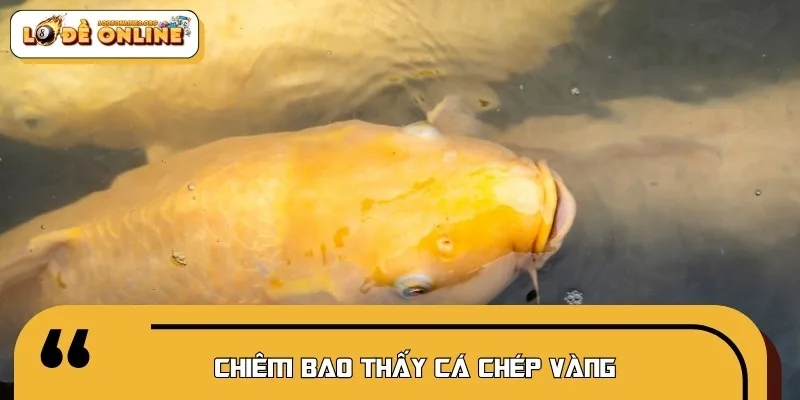 Cá chép vàng là biểu tượng của sự thăng tiến và đỗ đạt