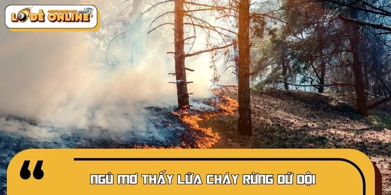 Đám cháy rừng lớn tượng trưng cho danh tiếng lan xa